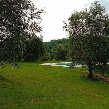 Podere Lucignano Secondo Agriturismo Gaiole in Chianti Luaran gambar
