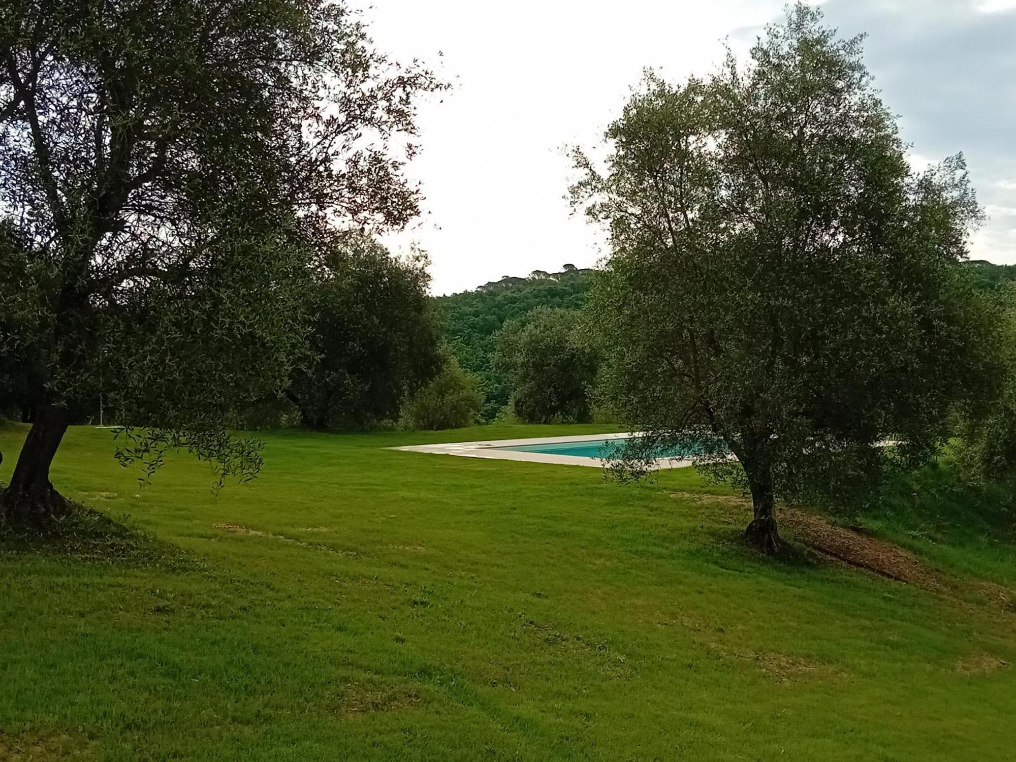 Podere Lucignano Secondo Agriturismo Gaiole in Chianti Luaran gambar